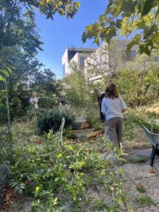 Kinder bei der Gartenarbeit in Wien, Laub und Äste werden aufgesammelt.